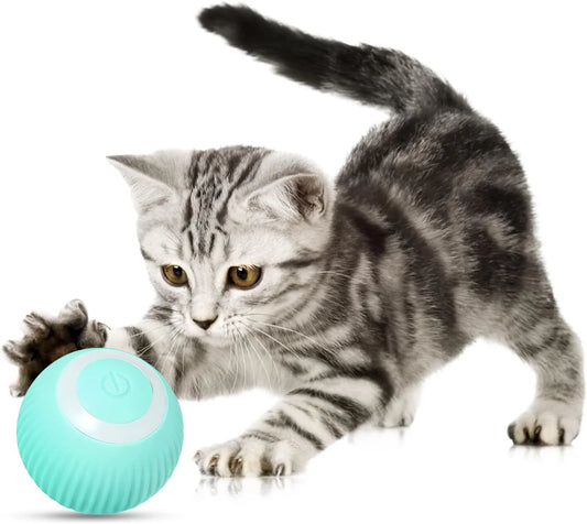 Cat Interactive Ball