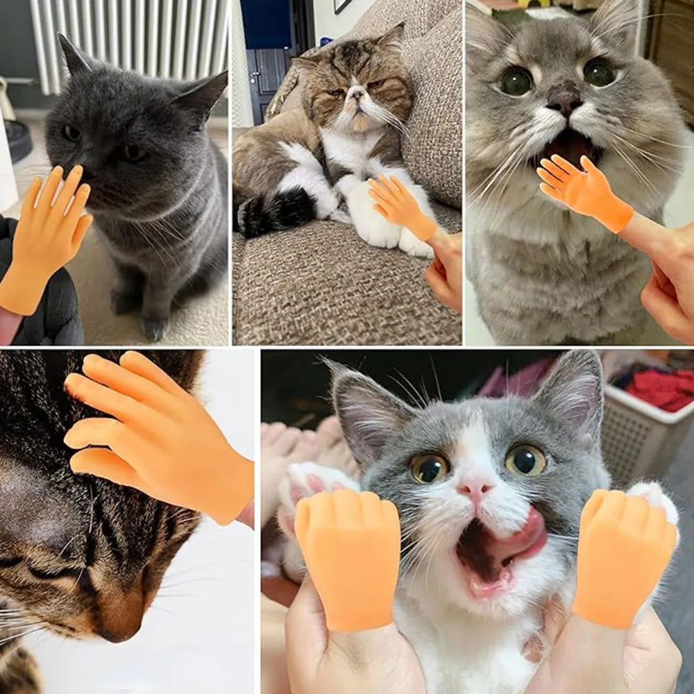 Mini Cat Hand Fun Toy