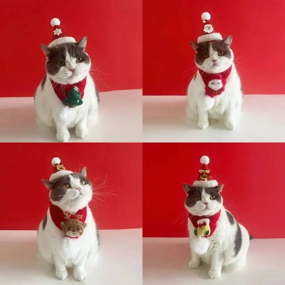 Festive Pet Santa Set