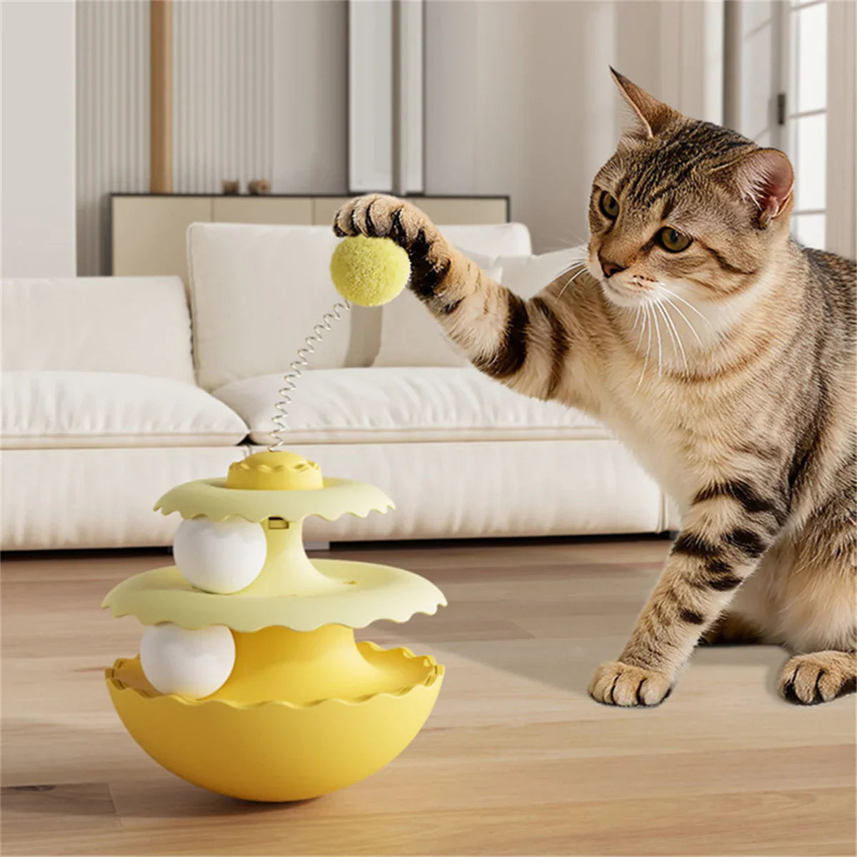 Whisker Wiggle Wonder