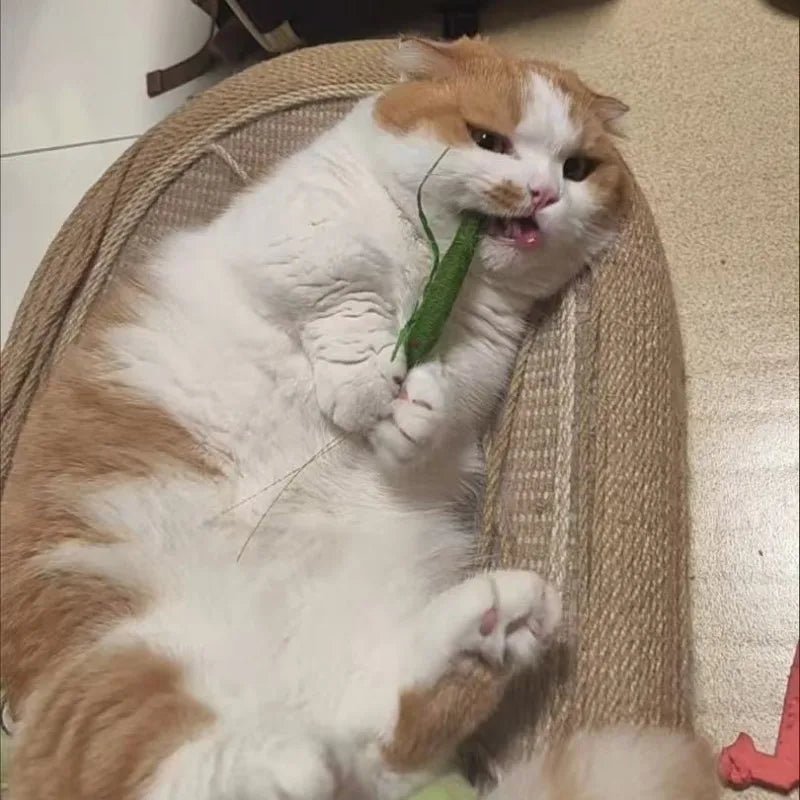 Catnip Wool Prawn Toy