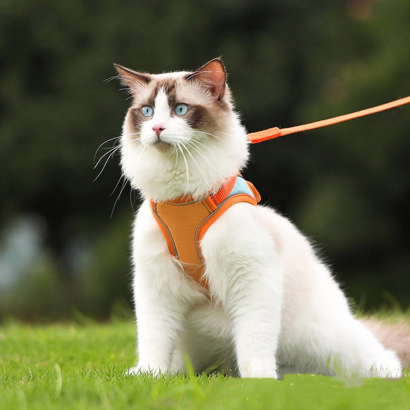 Catmosphere™  Anti Escape Harness & Leash