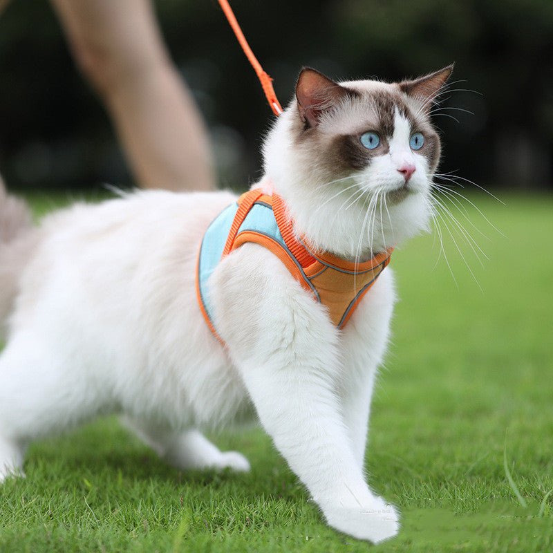 Catmosphere™  Anti Escape Harness & Leash