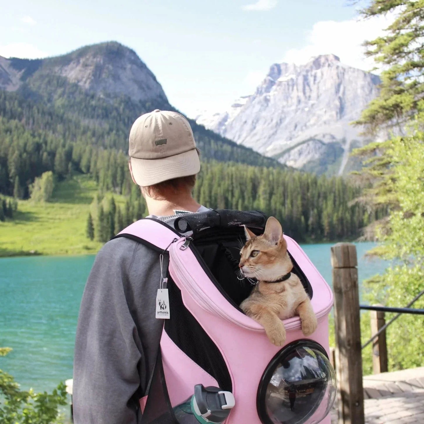 Catmosphere™  Fat Cat Breathable Backpack