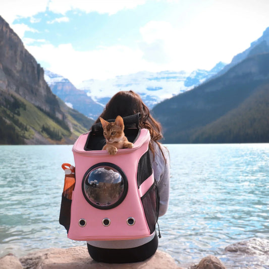 Catmosphere™  Fat Cat Breathable Backpack