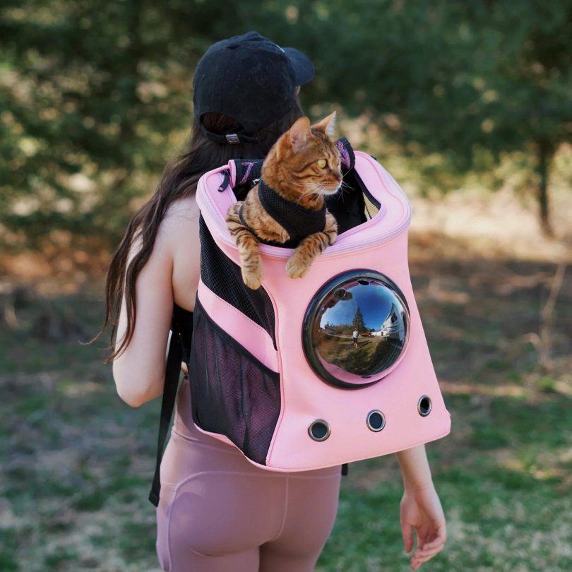 Catmosphere™  Fat Cat Breathable Backpack