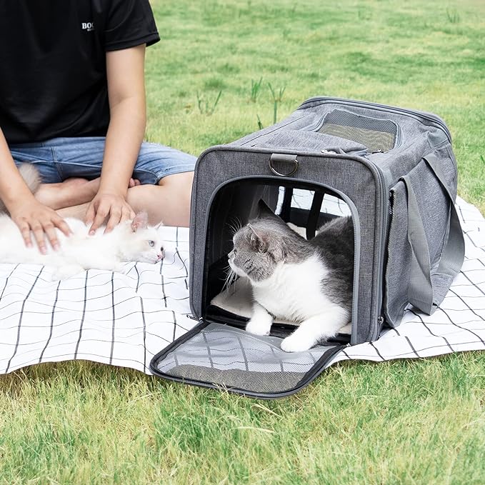 Catmosphere™ Pet Travel Bag