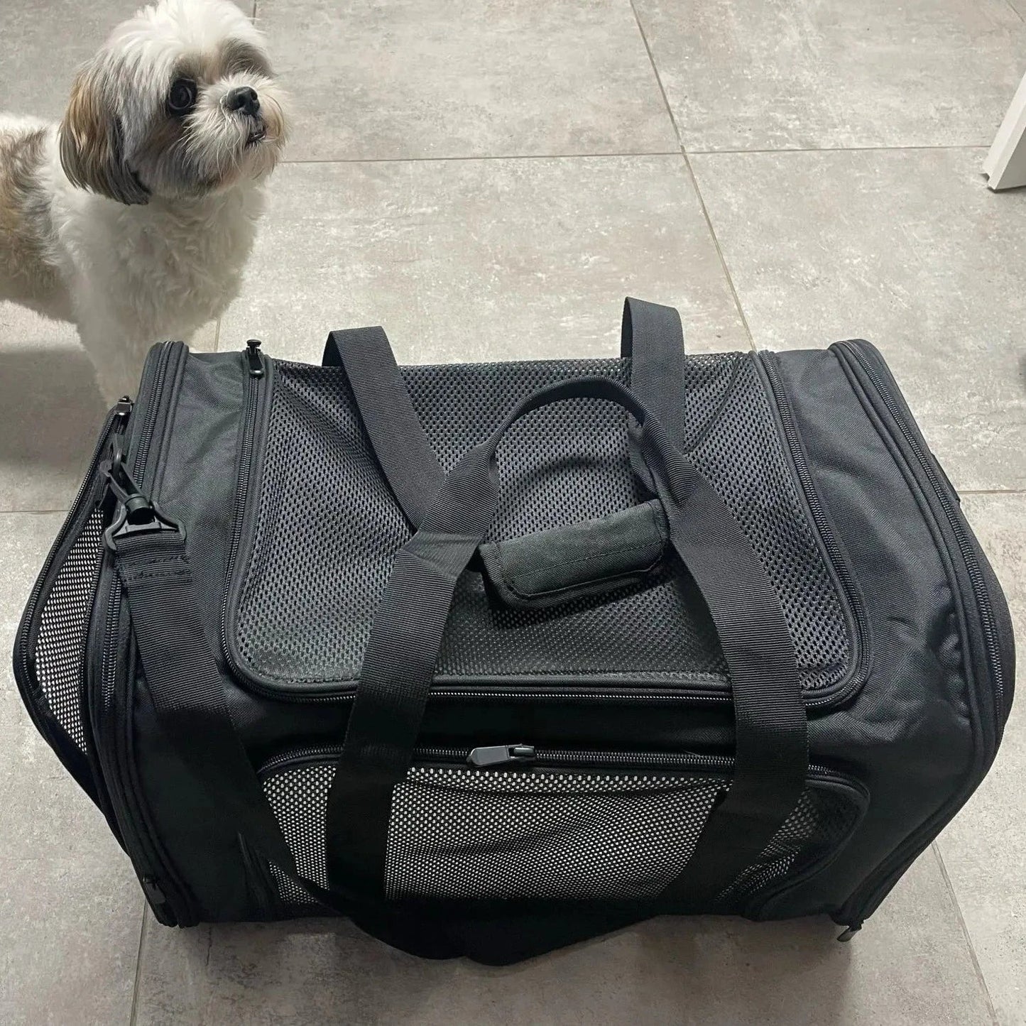 Catmosphere™ Pet Travel Bag