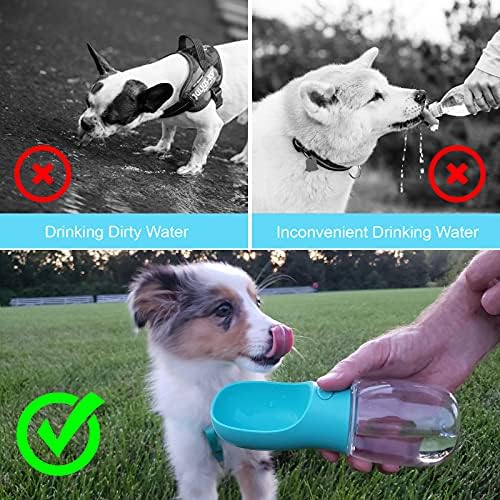 Catmosphere™  Pet Water & Treat Bottle