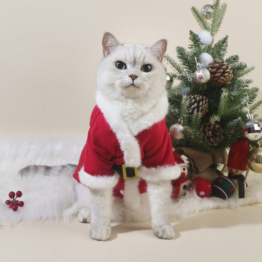 Catmosphere™ Santa Claus Costume