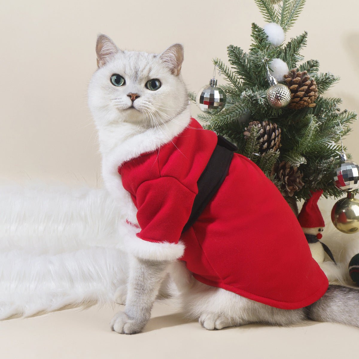 Catmosphere™ Santa Claus Costume