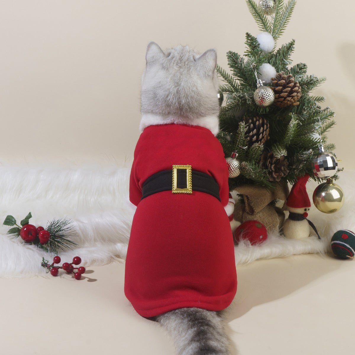 Catmosphere™ Santa Claus Costume