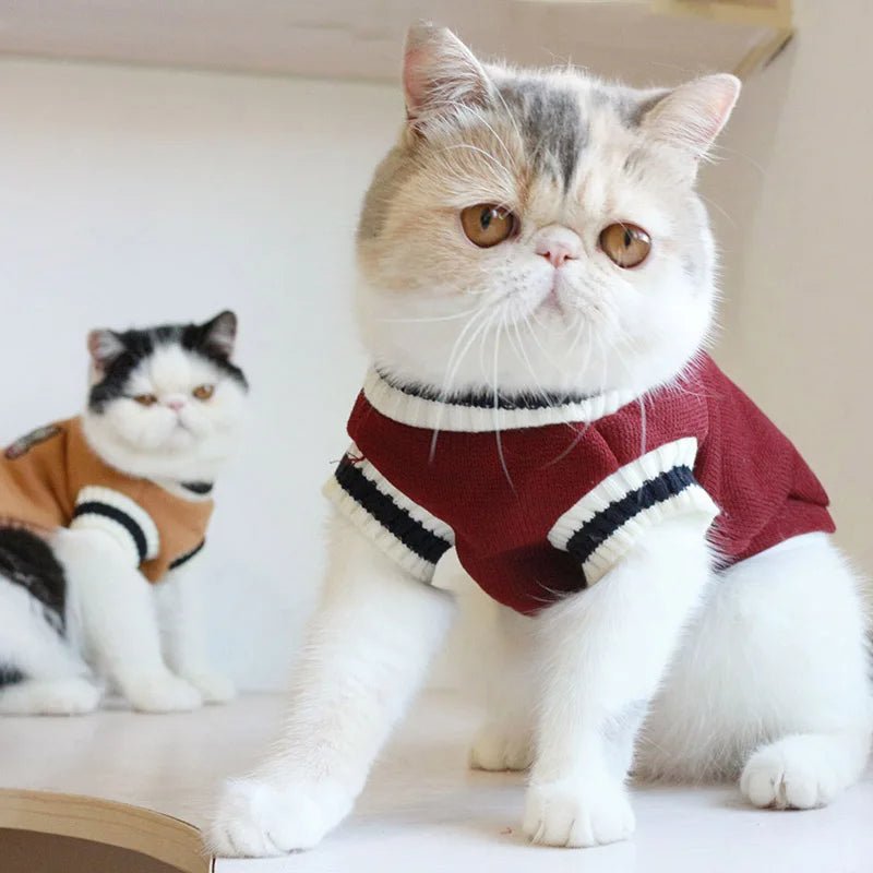 Catmosphere™ V-Neck Pullover