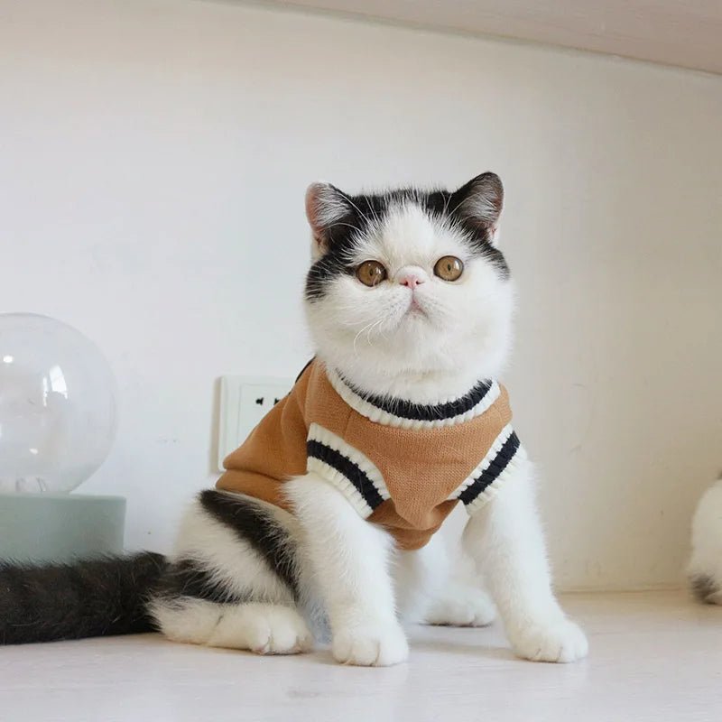 Catmosphere™ V-Neck Pullover