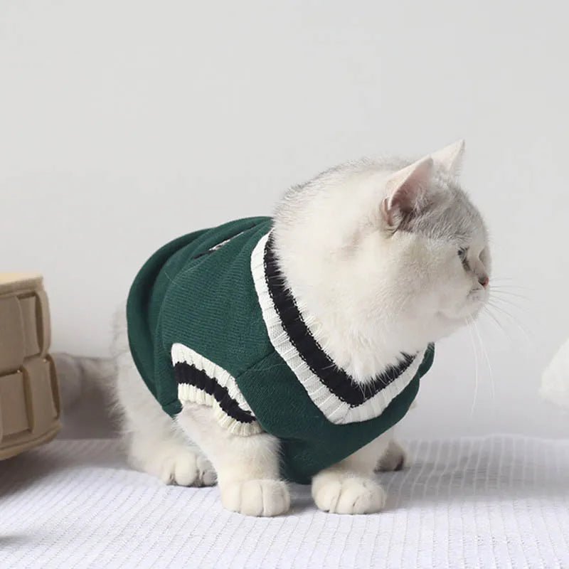 Catmosphere™ V-Neck Pullover