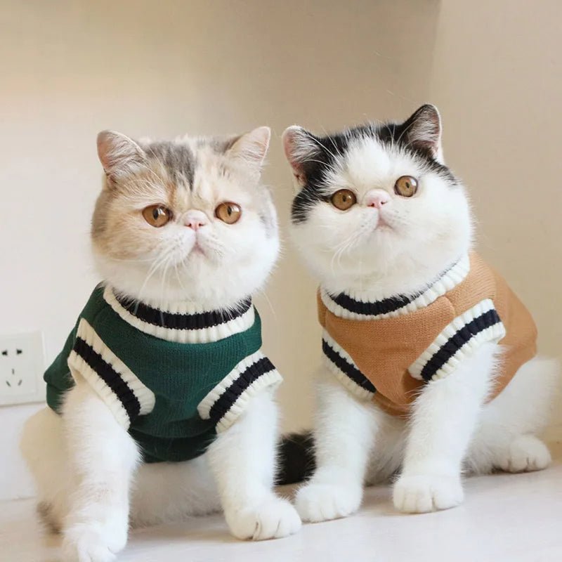 Catmosphere™ V-Neck Pullover