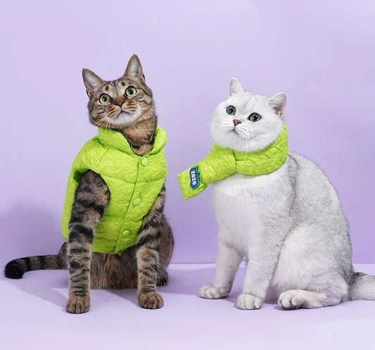 Catmosphere™  Winter Jacket