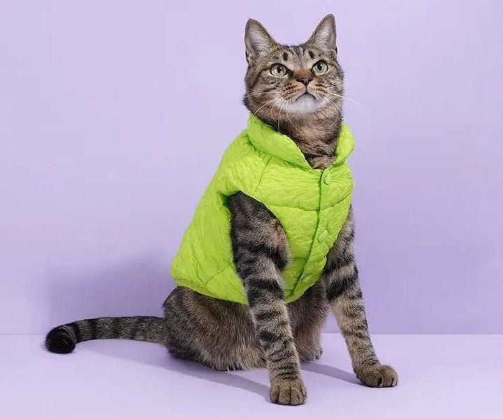 Catmosphere™  Winter Jacket