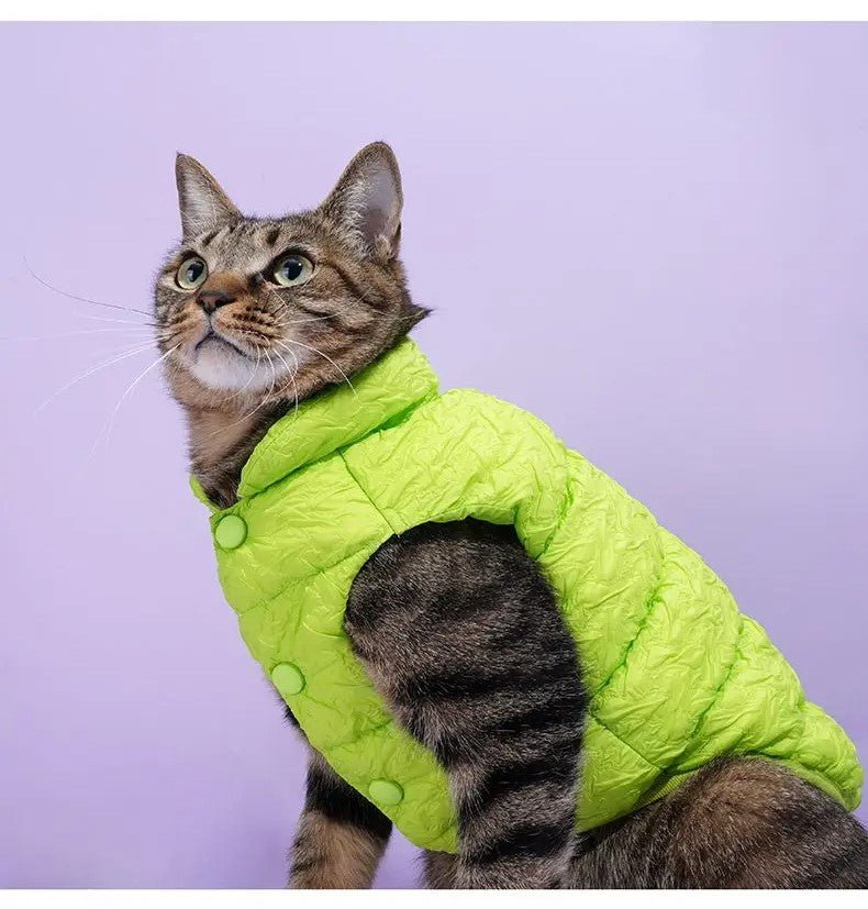 Catmosphere™  Winter Jacket